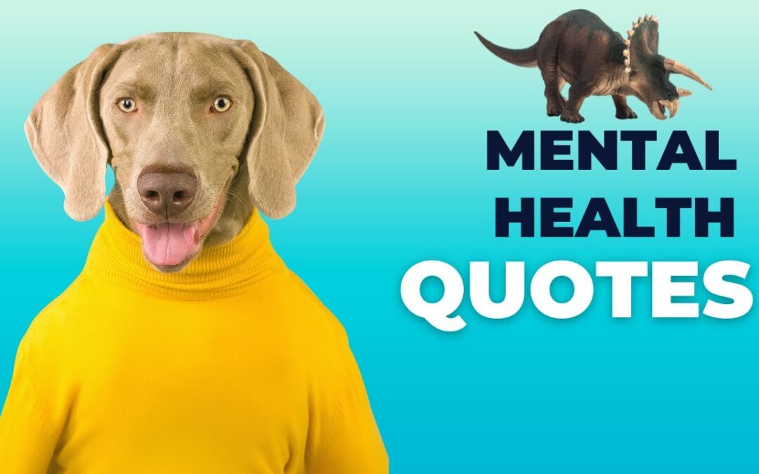 VIDEO: mental illness is an invisible illness