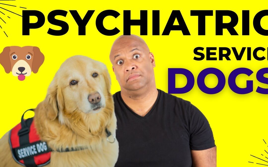 YouTube Video: My Psychiatric Service Dog From Little Angels Service Dogs 2024