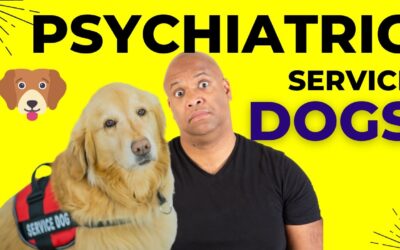 YouTube Video: My Psychiatric Service Dog From Little Angels Service Dogs 2024