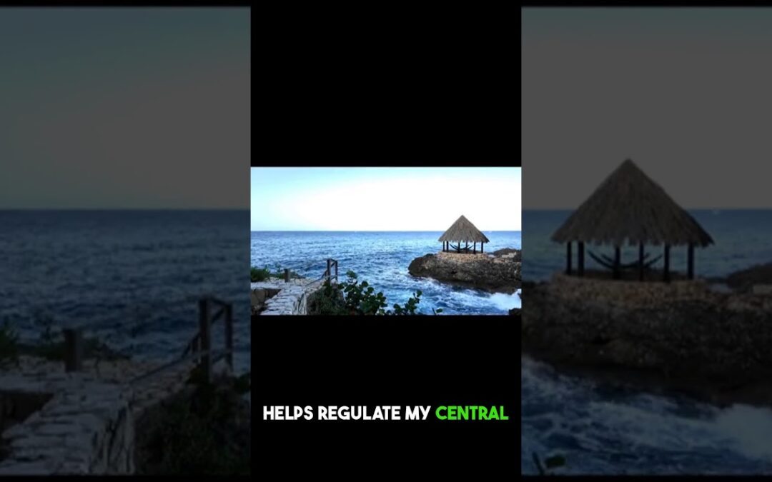 VIDEO: The SURPRISING Connection Between OCEAN and Your Body’s HEALTH