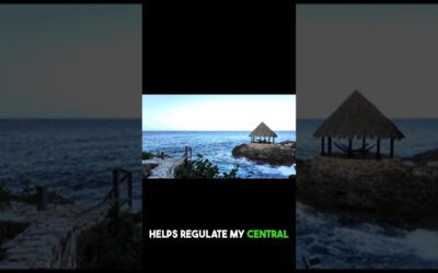 VIDEO: The SURPRISING Connection Between OCEAN and Your Body’s HEALTH