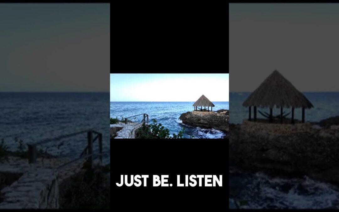 VIDEO: Take a One-Minute Pause to Be Present