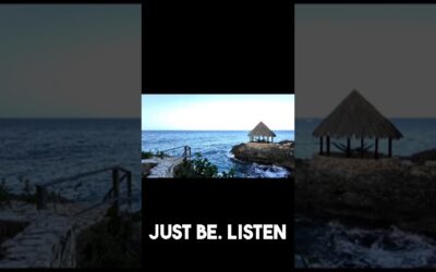 VIDEO: Take a One-Minute Pause to Be Present