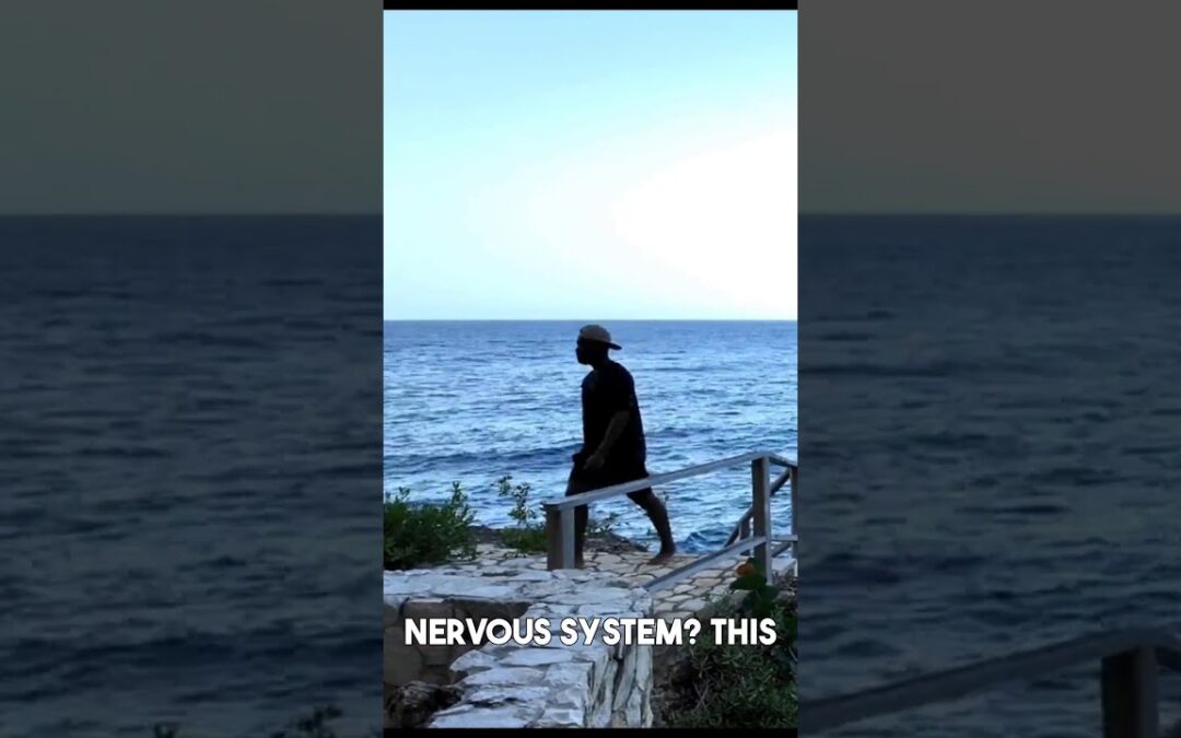 VIDEO: Why Listening to Waves Is Good for You!