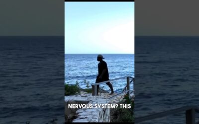 VIDEO: Why Listening to Waves Is Good for You!