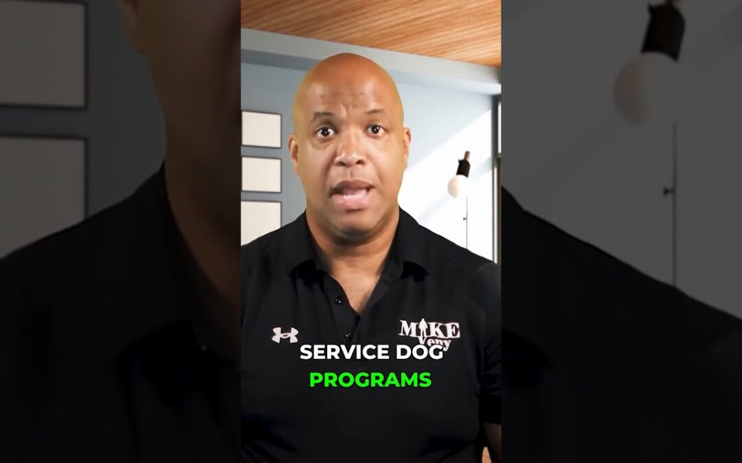 VIDEO: How a Service Dog Could Change My Life