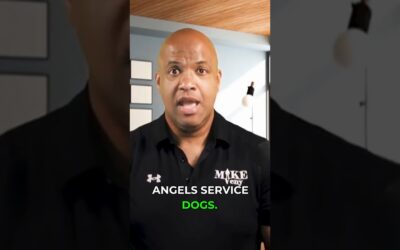 VIDEO: Can a Service Dog Help Me Feel Better?