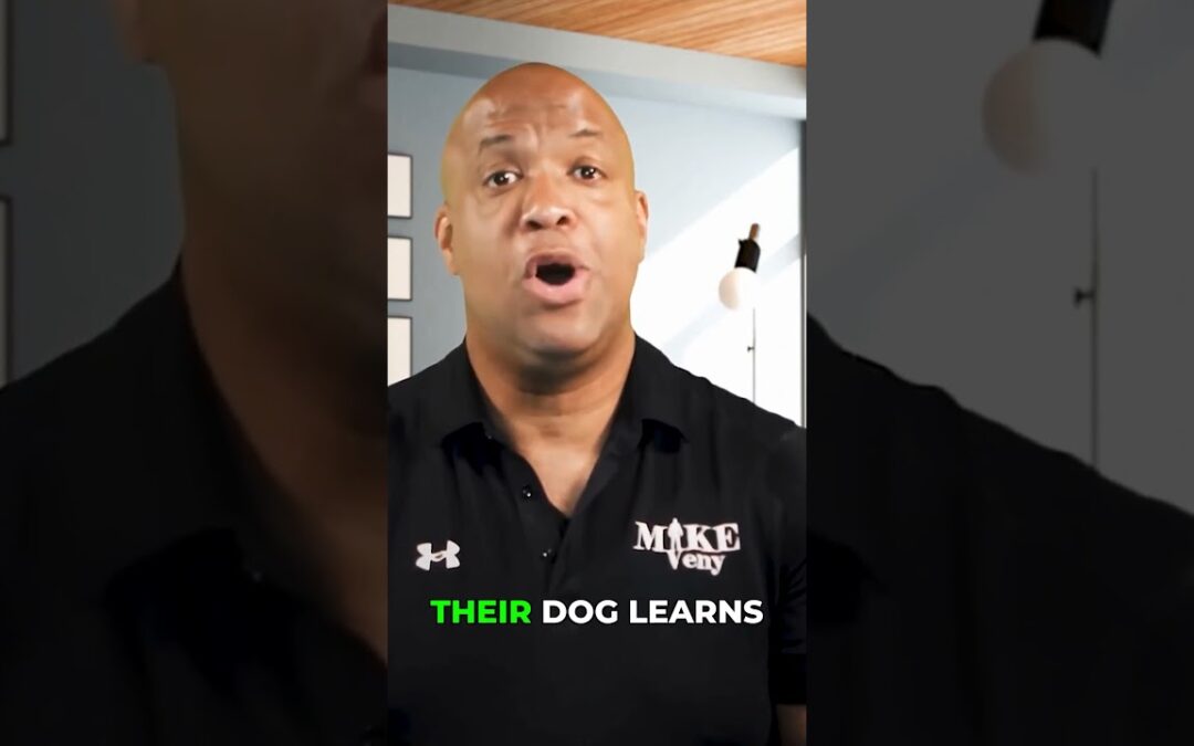 VIDEO: Can a Dog Really Stop a Nightmare?